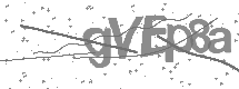 visual captcha